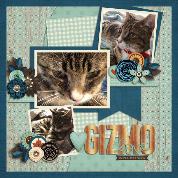 Gizmo
