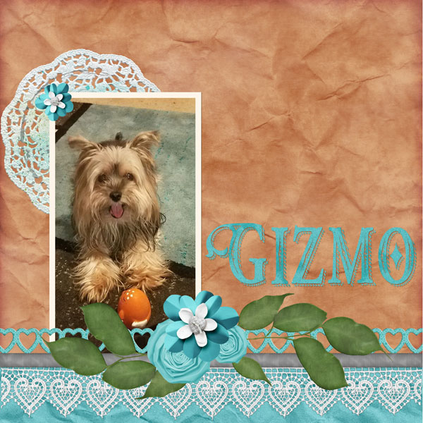 Gizmo