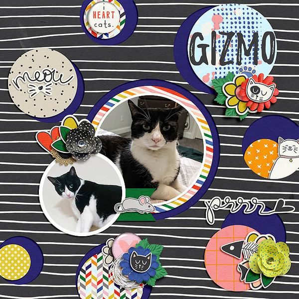 Gizmo