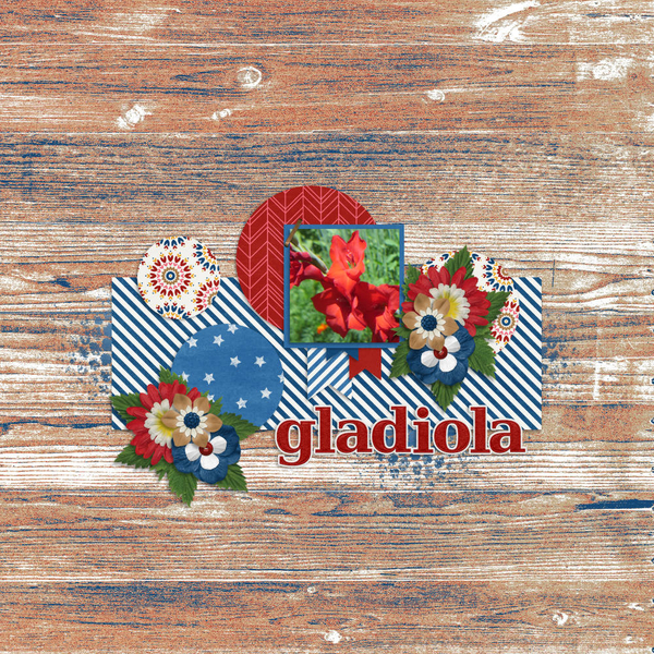 Gladiola