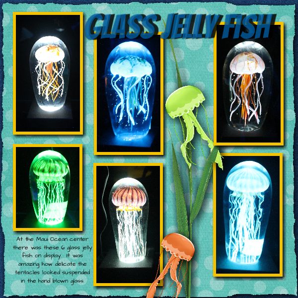 Glass Jelly Fish