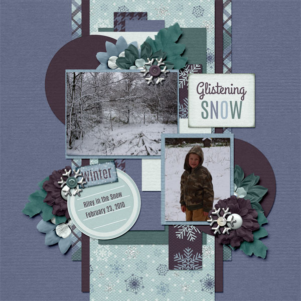 Glistening Snow