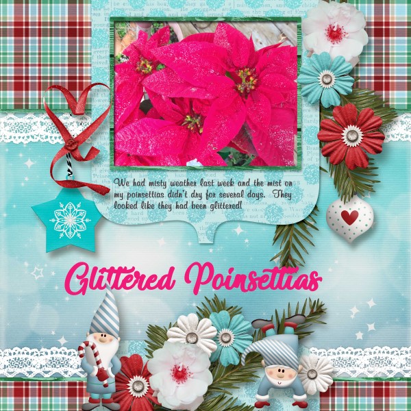 Glittered Poinsettias