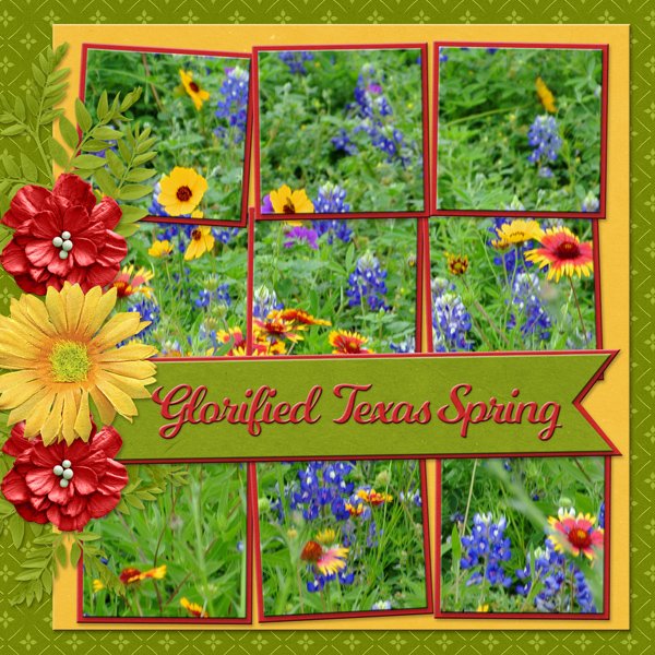 Glorified Texas Spring