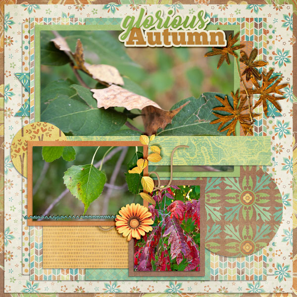 Glorious Autumn [Leaves]