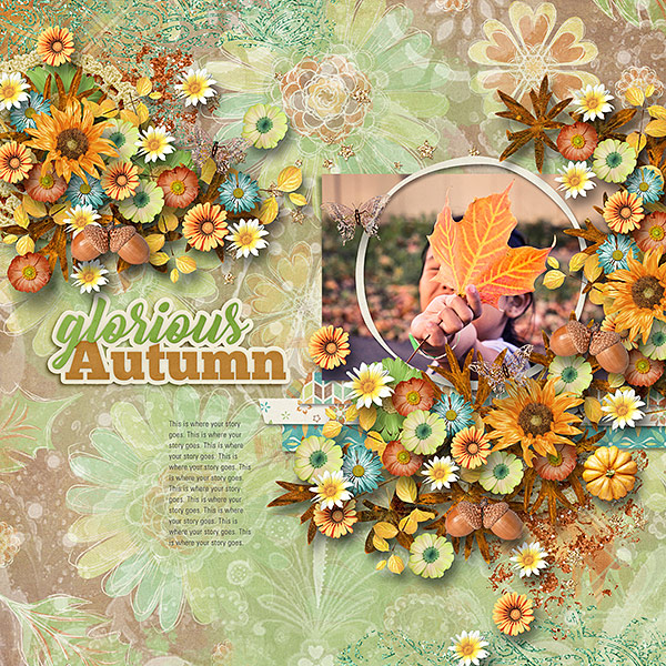 Glorious Autumn