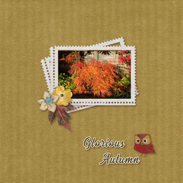 Glorious Autumn