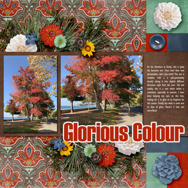 Glorious Colour