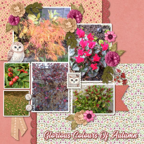 Glorious Colours Of Autumn