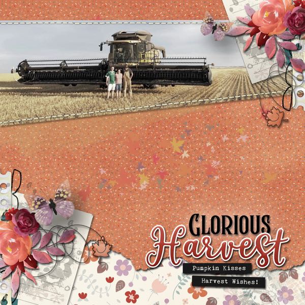 Glorious Harvest