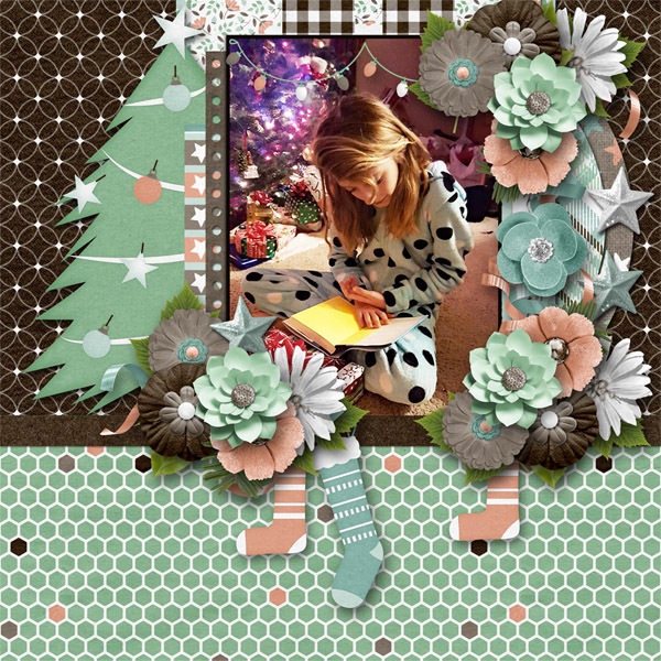 Gnome for Christmas