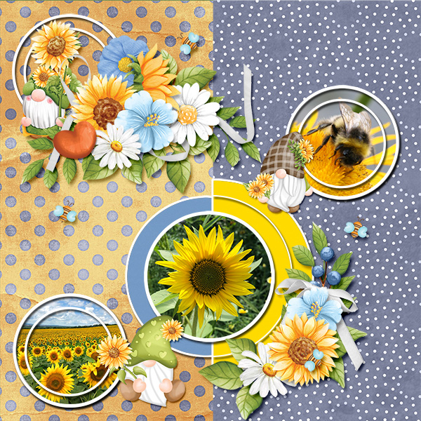 Gnomes and sunflowers