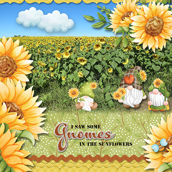 Gnomes pg 1