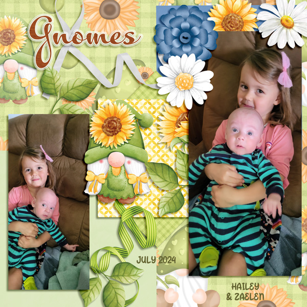 GNOMES -SEPT 2024