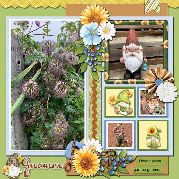 Gnomes