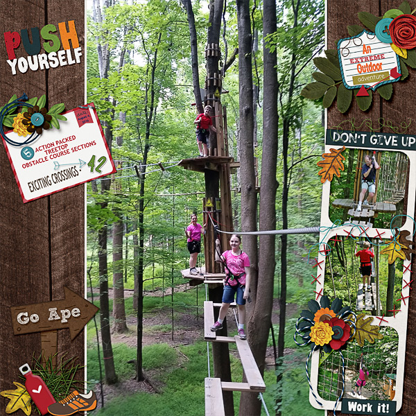Go Ape!