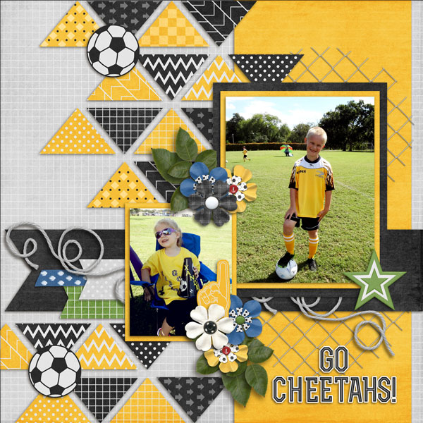 Go Cheetahs!