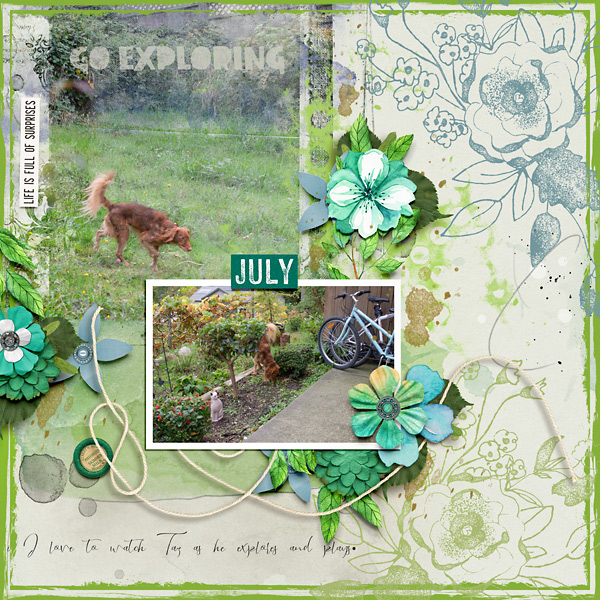 Go Exploring