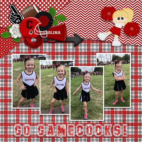 Go Gamecocks!