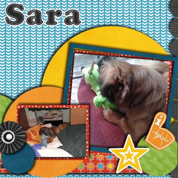 Go Sara