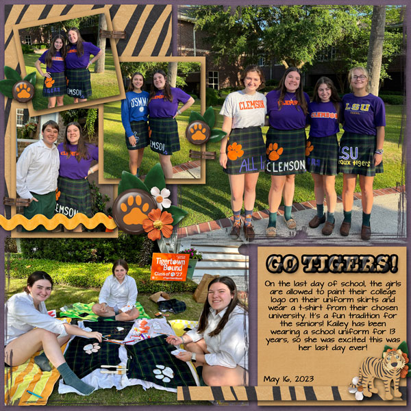 Go Tigers
