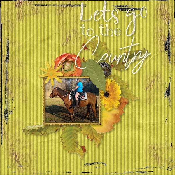 Go To The Country