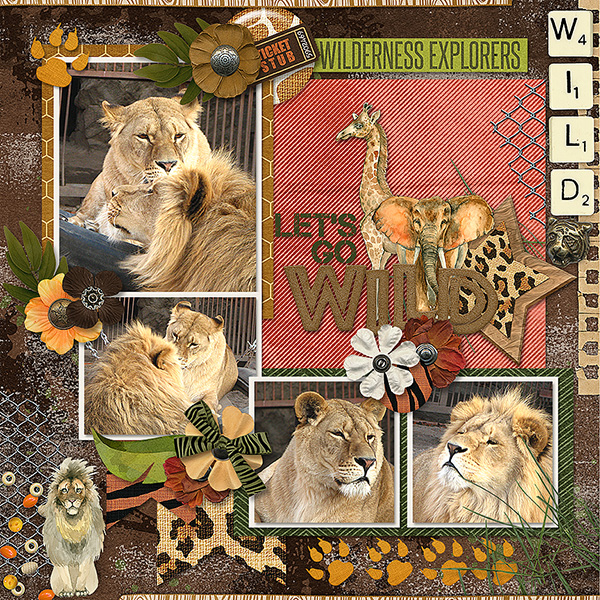 Go Wild