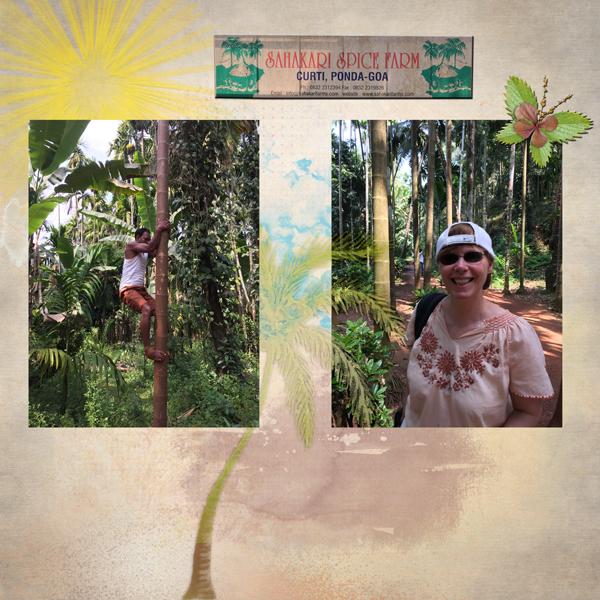 Goa Sahakari Spicefarm