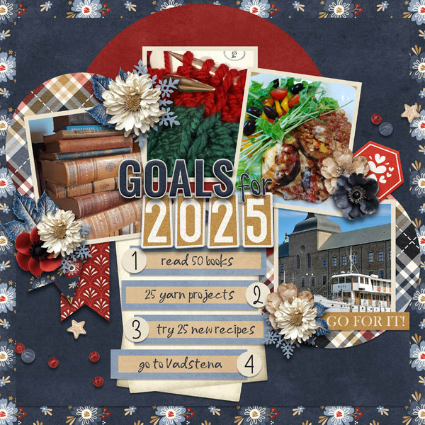 Goals for 2025