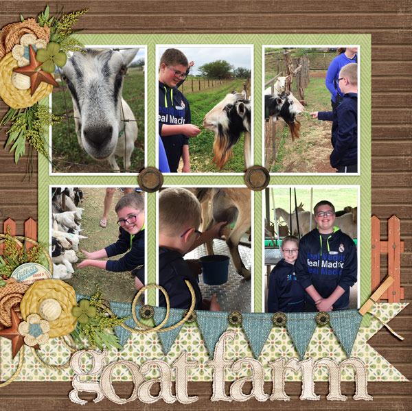 Goat Farm