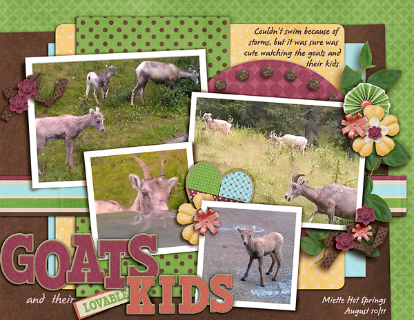 Goats and their kids