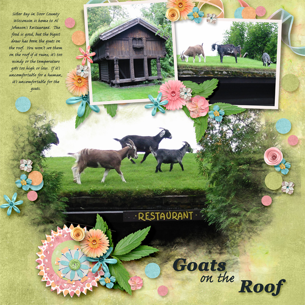 Goats on the roof