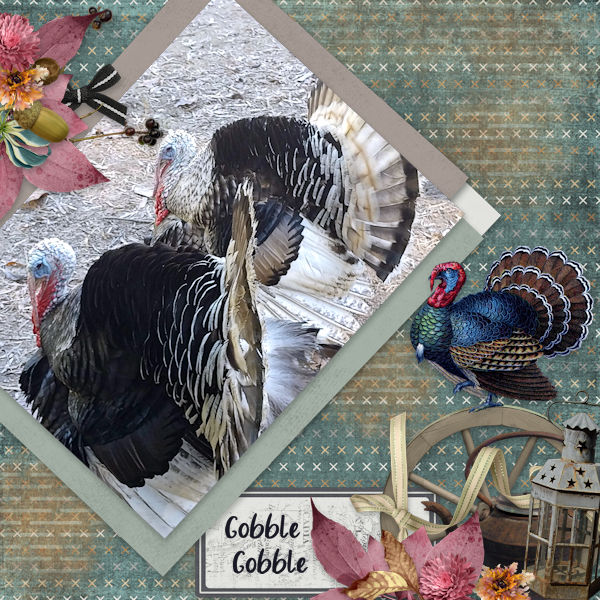 Gobble Gobble