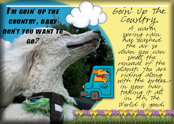 Goin' Up The Country