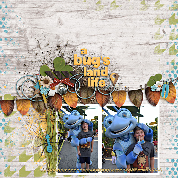 Going Buggy