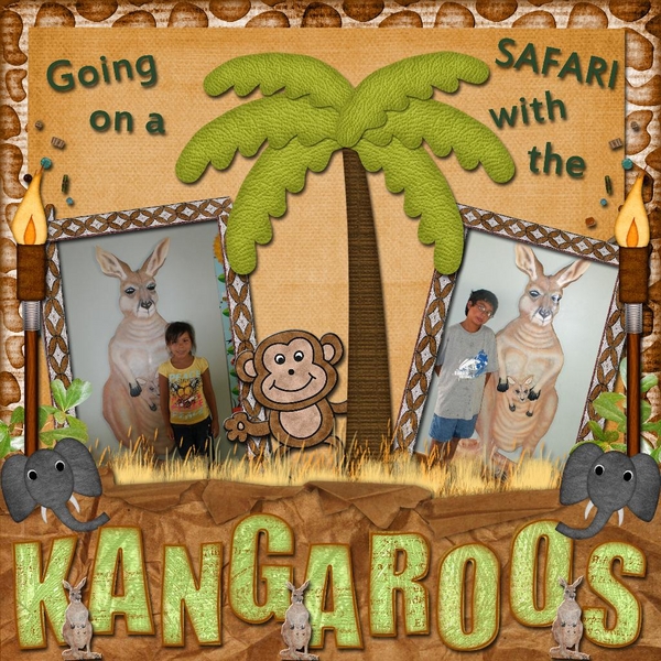 Going on a Sarfari with the Kangaroos