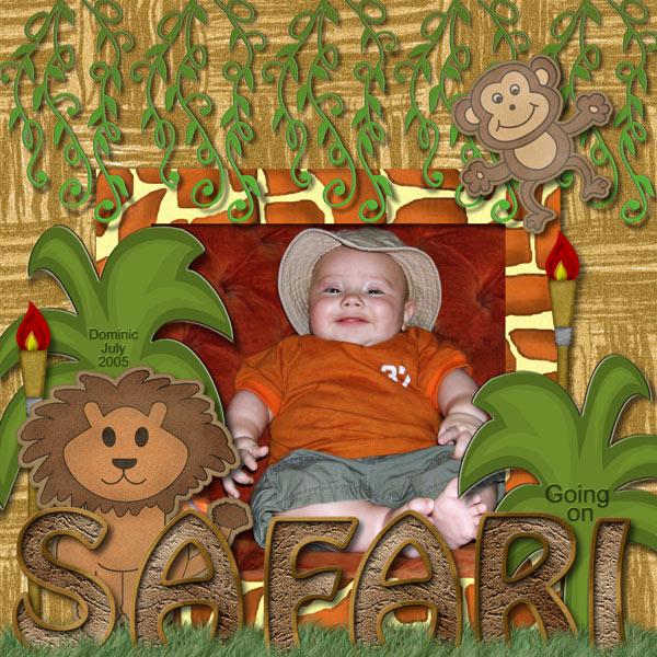 Going on Safari