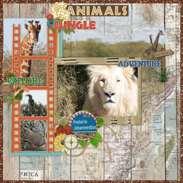 Going_on_a_safari
