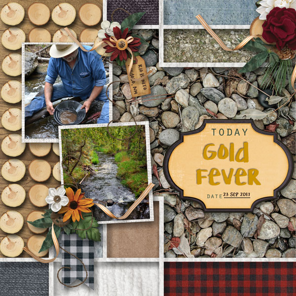 Gold Fever