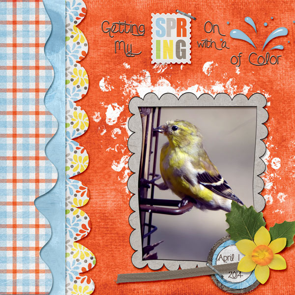 gold-finch-colors