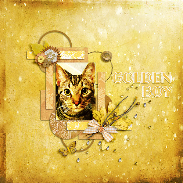 golden boy