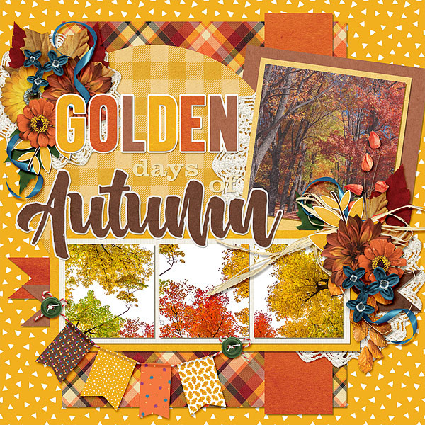 Golden Days of Autumn