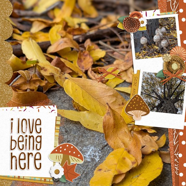 Golden Fall Color