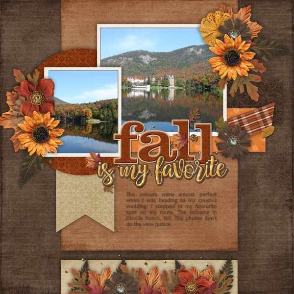 Golden Fall Days