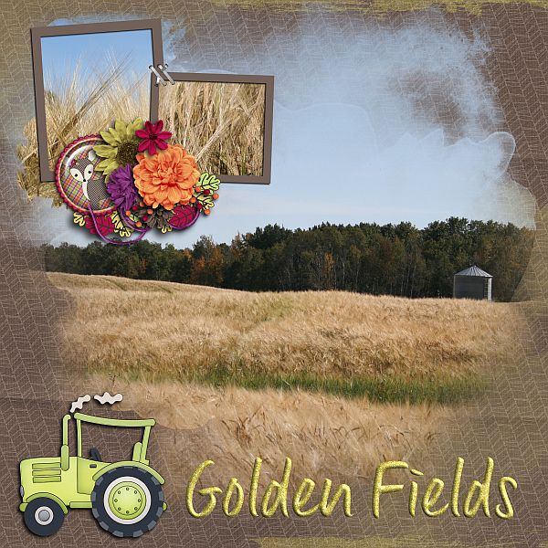Golden Fields