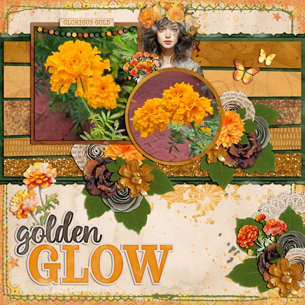 golden glow
