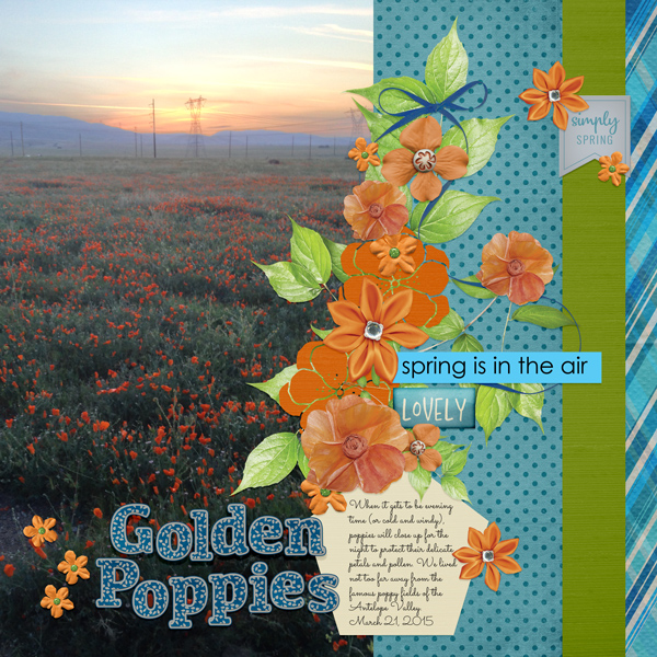 Golden Poppies