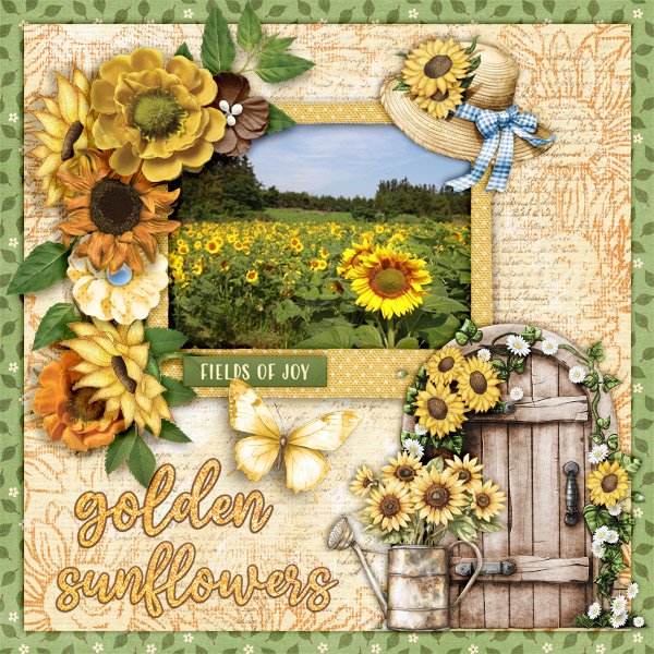 Golden-sunflowers.jpg