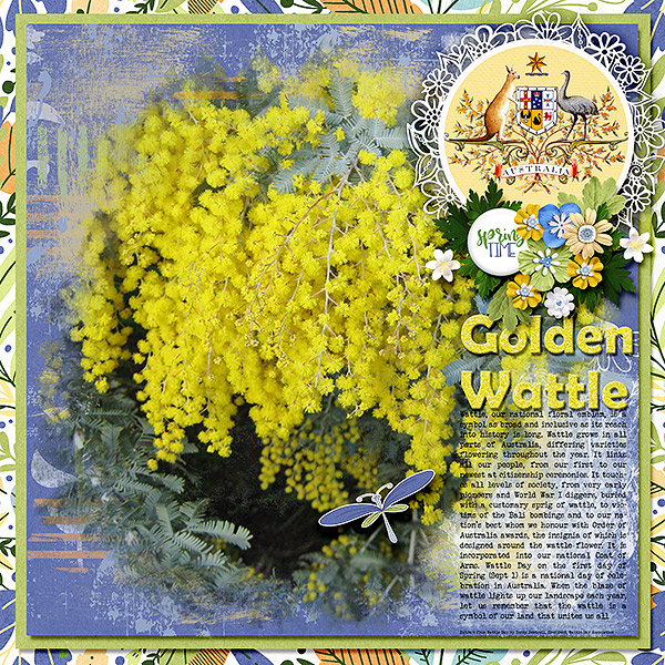Golden Wattle