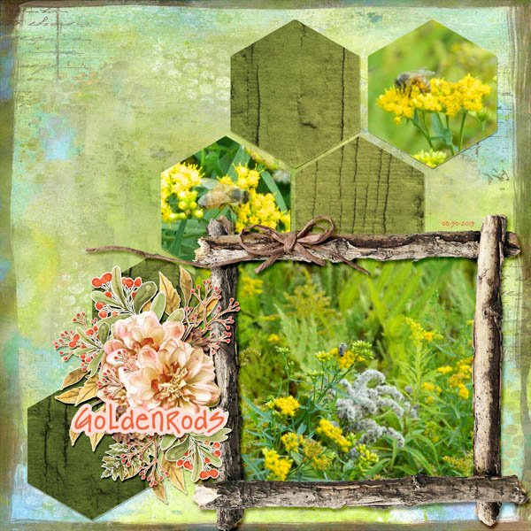 Goldenrods